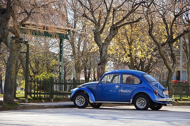  Coccinelle VW 